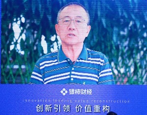 峰会声音丨高西庆：市场的问题让市场解决