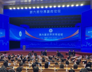 第六届世界浙商论坛丨标重点！浙商为何频频提到这几个关键词？