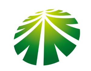 负极材料掀起“汹涌”扩产潮，杉杉股份半年流出40亿现金创十年新高