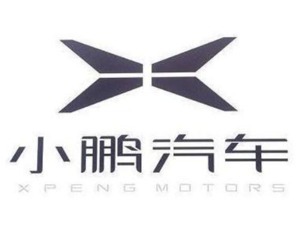 汽车利润率跌破两位数，小鹏需要更多新车来“拯救”