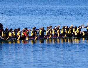 从民俗到亚运，千年龙舟何以划向世界