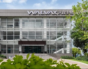 每股分红1分钱太“抠门”？沃森生物：高于一般水平