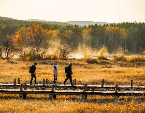 “成都迪士尼”走红，峨眉山A回应称会密切关注新业态
