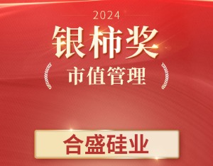合盛硅业斩获“2024银柿奖”，引领硅基新材料行业发展