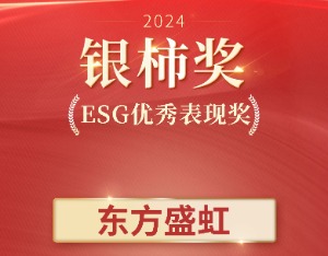 “全过程减碳”促进可持续发展，东方盛虹荣获“银柿ESG优秀表现奖”