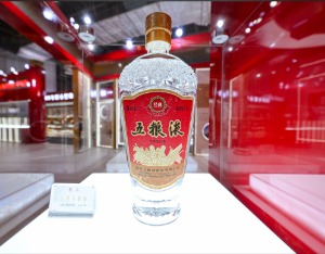 全国人大代表曾从钦：稳进提质挑大梁 推动高质量发展再进阶