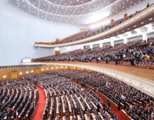 今年我国将制定民营经济促进法、金融法、托育服务法等