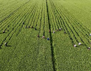 自然资源部部长：守好18亿亩耕地红线 让中国饭碗端得更稳、更牢
