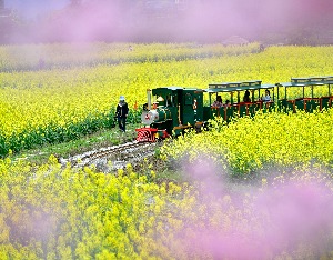 文旅部部长孙业礼：去年文旅业“人财两旺”