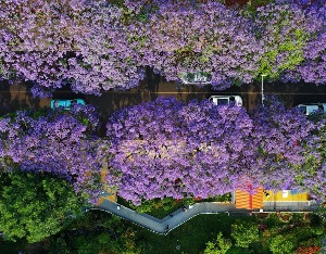 低空观光、海洋旅游……文化和旅游部部长点到这些新业态