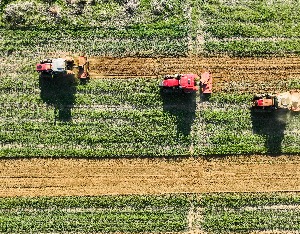 自然资源部：“以图管地”推动耕地保护数智化转型
