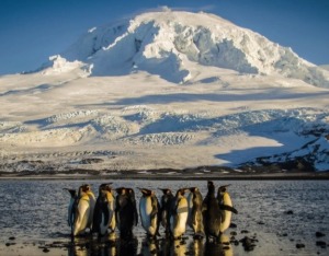 特朗普向无人岛加征关税