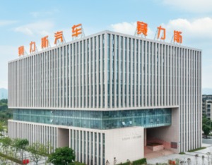 赛力斯：高管及骨干团队拟增持1500万元至3000万元公司股份