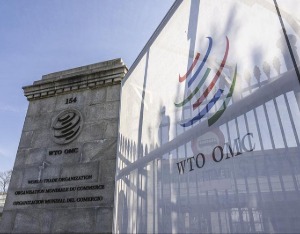 中方在世贸组织就美国“对等关税”表达强烈关注 引发广泛呼应