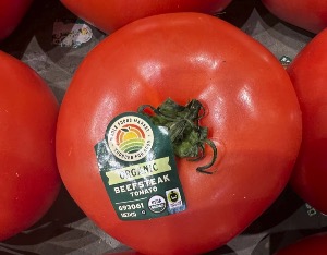 美国宣布将对墨西哥番茄征收超17%的关税