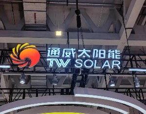 短期业绩承压不改龙头地位，通威股份组件全球化布局加速
