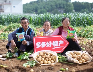 拼多多发布Q2财报，“百亿减免”一周年，真金白银反哺产业生态
