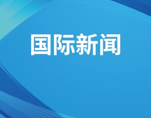 南非外长相信二十国集团领导人约堡峰会将取得重要成果