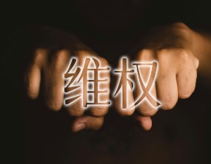 ST岭南及总裁被立案调查，曾涉上亿资金占用，投资者维权征集已开始