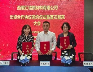 红墙股份与西藏国资达成合作，拟深度参与雅下水电站项目建设