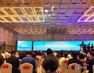 直击数贸会｜ 阿联酋以主宾国身份亮相，邀中国数贸、科技企业深化合作