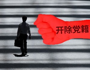 中国人寿财产保险股份有限公司原党委书记、总裁刘安林被开除党籍