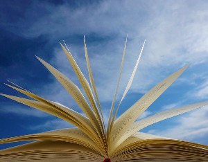 A股“院士”名单扩容 隆基绿能、江丰电子、中衡设计实控人落选