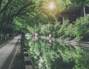 杭州连续19年荣获“最具幸福感城市”称号