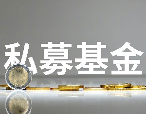 “小而美”私募收益TOP10出炉，主观10强收益均超过100%