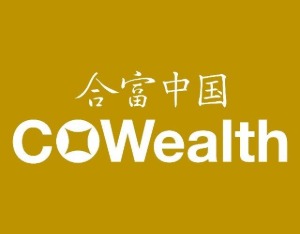 合富中国：公司股价累计涨幅已达到349.25% 存在较大交易风险