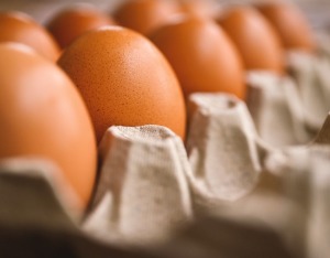 香港暂停德国、波兰、英国、加拿大和日本部分地区禽肉及禽类产品