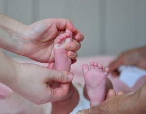 2025年出生人口792万人，人口出生率为5.63‰