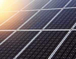 特斯拉加速招聘以支持马斯克太阳能战略