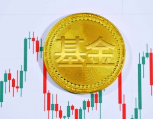 次新基金火速建仓抢抓市场窗口