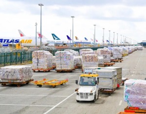 上海机场“抢鲜”保障生鲜年货供应