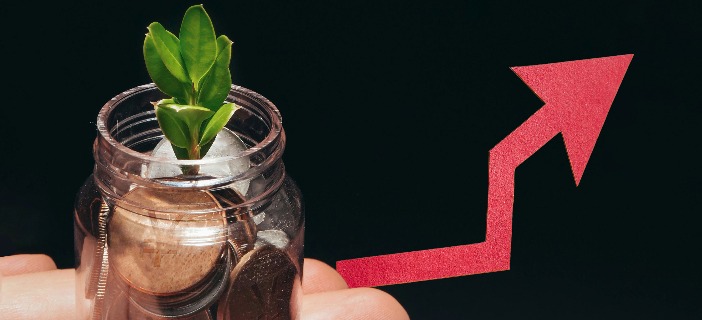 马年“配置牛”继续 投资选三大方向