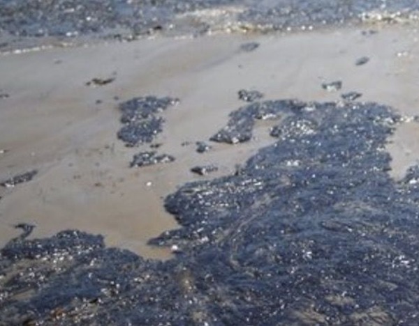 伊朗媒体称哈尔克岛石油设施未被损坏