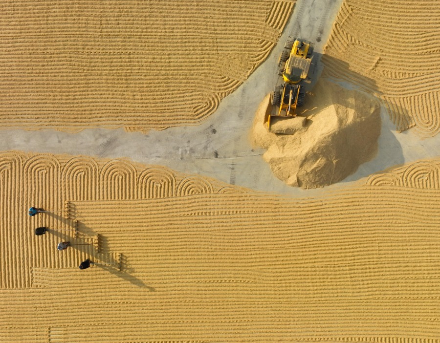 联合国粮农组织：波斯湾冲突冲击全球粮食与能源供应链