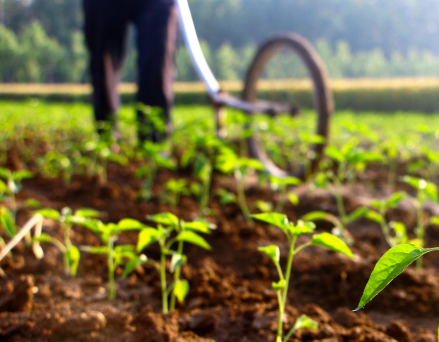 生猪收储托底猪价，农业ETF银华涨1.35%