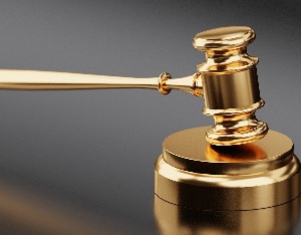 多年年报存在虚假记载，菲林格尔及多名高管被监管处罚，维权征集启动