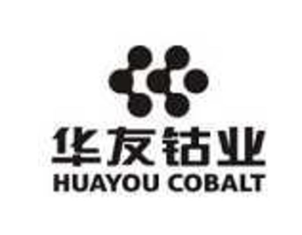 华友钴业：拿到了津巴布韦的锂精矿出口相关批文