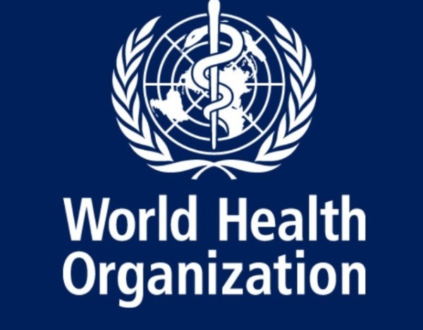 大西洋一邮轮出现汉坦病毒感染事件 世卫：不必恐慌或实施旅行限制