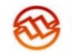 公司与蔚来充换电有合作吗？皖能电力回应