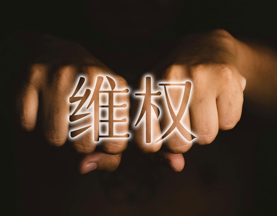 ST金鸿顺被立案调查，维权征集启动