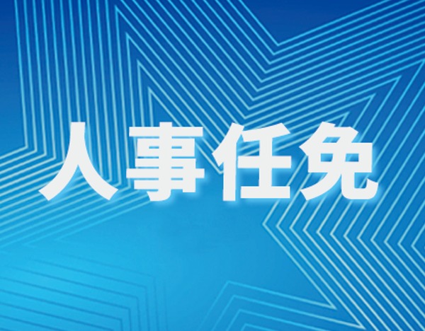 洋河股份人事变动：陈军任副董事长，顾宇不再兼任总裁