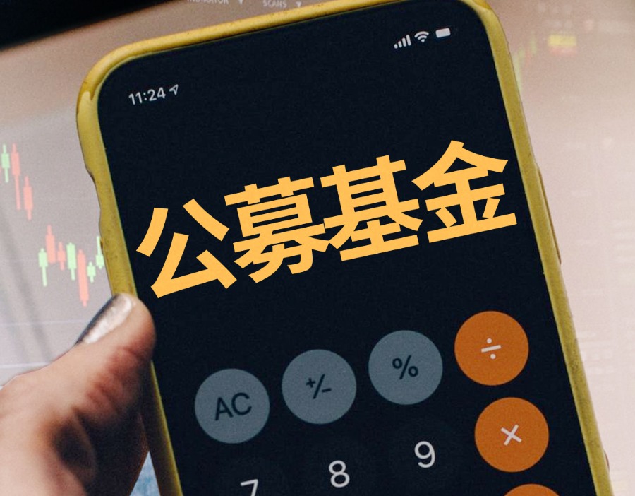 新基金发行潮半年吸金超6500亿元，权益类基金稳坐市场C位