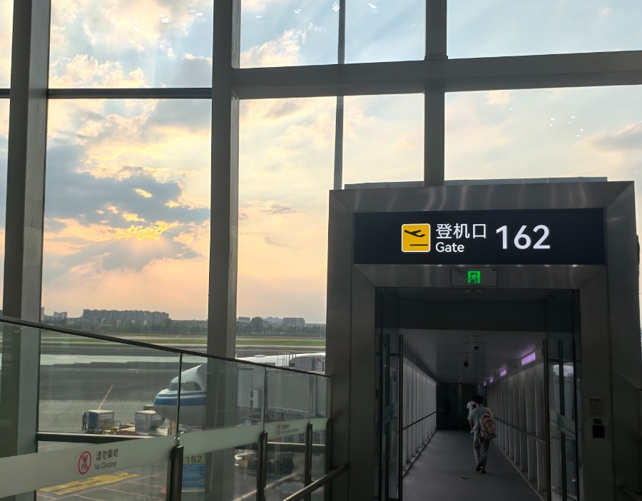国航、东航、南航三大航上半年预亏近90亿：暑运“回血”难解全年困局？