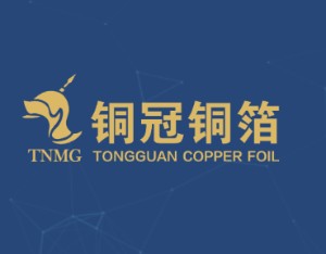 因个人及家庭原因，铜冠铜箔职工代表董事李大双辞职
