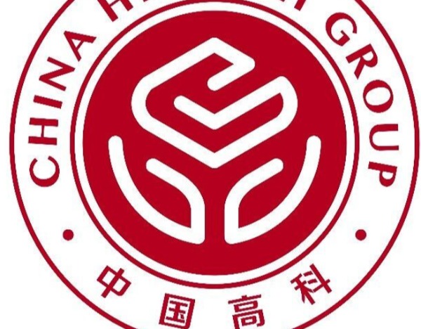 麻烦接连而至！*ST高科子公司遭遇股东诉讼，董事会全部决议遭法院临时叫停