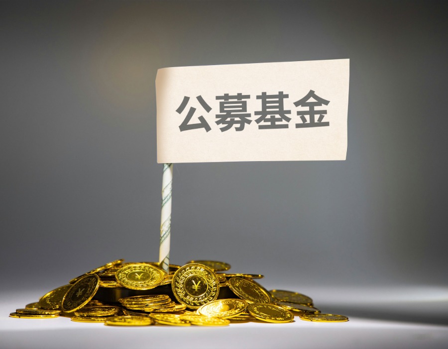 中基协组织召开华南地区公募基金行业机构研讨交流会